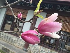 -惠州西湖丰渚园