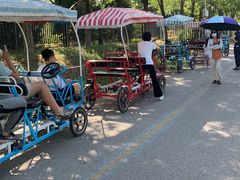 -永定河休闲森林公园