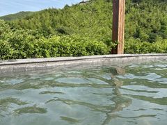 -天目湖御水温泉·度假酒店