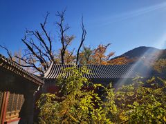 -阳台山自然风景区