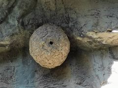-白河湾生态旅游一条川