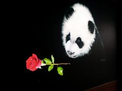 门面-成都大熊猫繁育研究基地