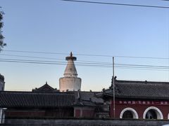 -杏园餐厅(阜成门店)