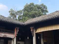 -东梓关景区村庄