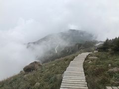 -白草畔自然风景区