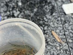 -DGE季风钓虾营地·团建·聚会