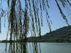 -金牛山大酒店(南北湖风景区店)