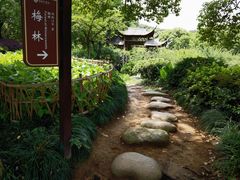 -白马涧龙池景区