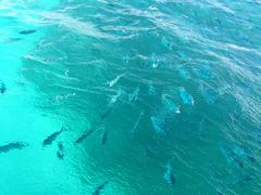 -蓝湾海滩