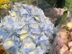 -盒马鲜生(首义店)
