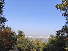 -树山生态村