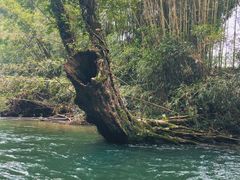 -九曲溪竹筏码头