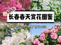 -长春市南湖公园