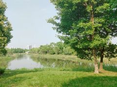 -尚贤河湿地