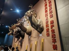-浙江自然博物院(杭州馆)