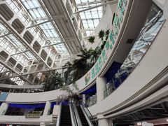 -正佳雨林生态植物园