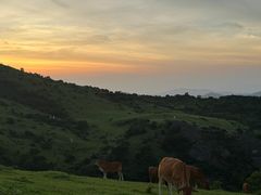 -大姆山草场