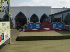 -马大胡子清真西北菜