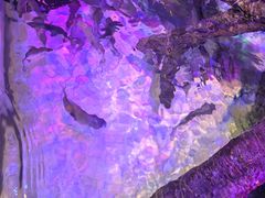 -沈阳海洋探索中心