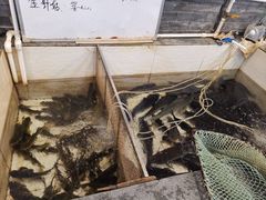 -铁锅炖灶台鱼老三炖鱼馆