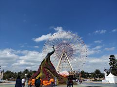 -七彩云南欢乐世界