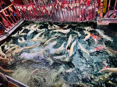 -成都浩海立方海洋公园