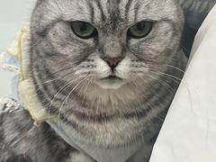 -共舞时光猫咖·狗咖(新街口店)
