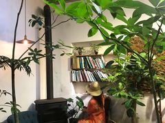 -植觉