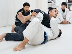 -菠萝格斗巴西柔术训练馆