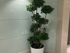 -北京亚奥国际酒店
