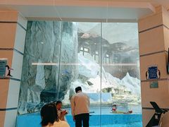 -帝企鹅自助餐厅•儿童岛•真企鹅(长隆企鹅酒店)