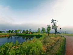 -春花秋色城市公园