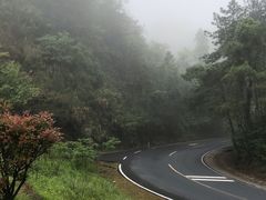 -祁门牯牛降观音堂风景区