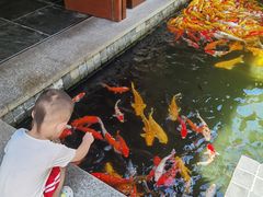 -三亚亚龙湾五号度假别墅酒店