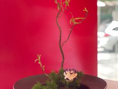 -新长福(星沙店)