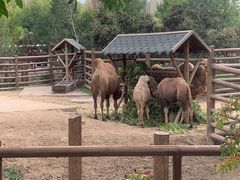 -太原动物园