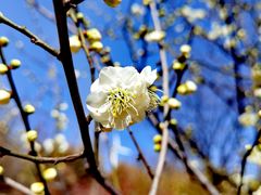 -鹫峰国家森林公园