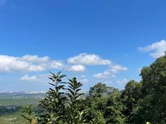 -海口火山口国家地质公园