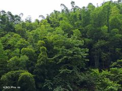 -赤水丹霞旅游区·大瀑布