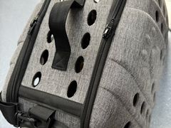 -宠物星动物医院·眼科·异宠·猫科(江南大道总院)