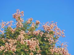 -合肥三国新城遗址公园