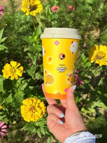 新的！新的！！太适合夏天了吧！️