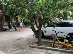 -光明刘冰乳鸽店(光明法政北路店)