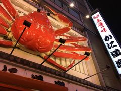 -蟹道乐(道顿堀本店)