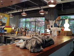 -咖法森林·咖啡  酒吧(天河店)