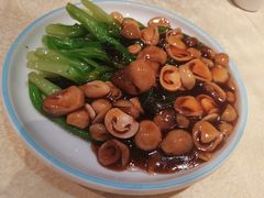 -新侨小馆(东直门北小街店)