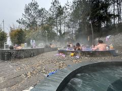 -崇阳三特浪口温泉
