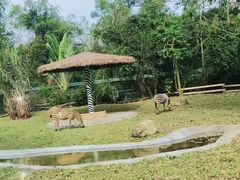 -海南热带野生动植物园