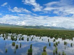 -花湖生态旅游区