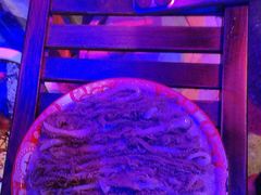 -水巷子·巴掌腰片重庆火锅(云纺店)